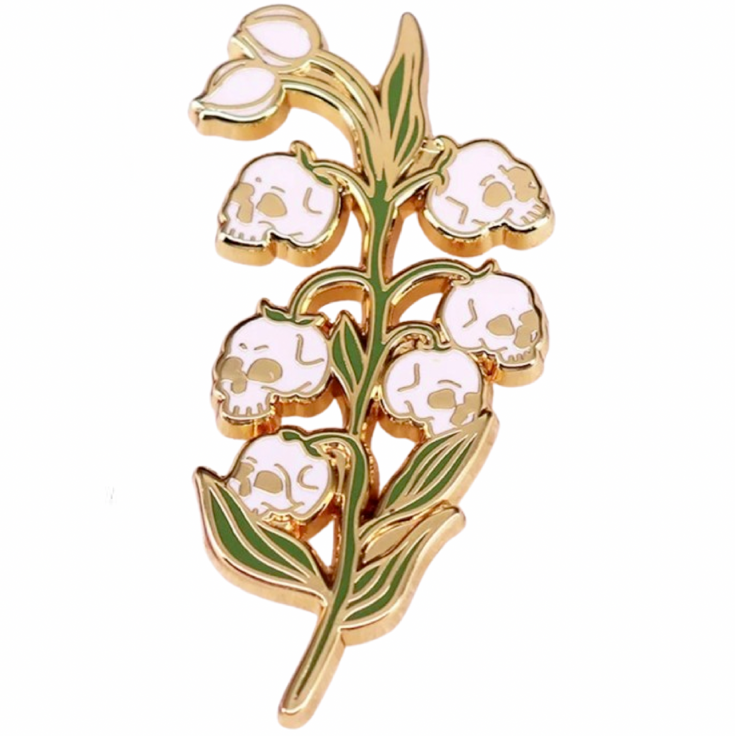 White Skull Lily