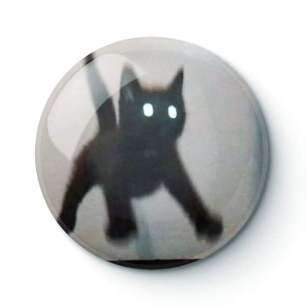 Startled cat