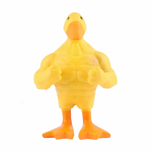 Happy duck